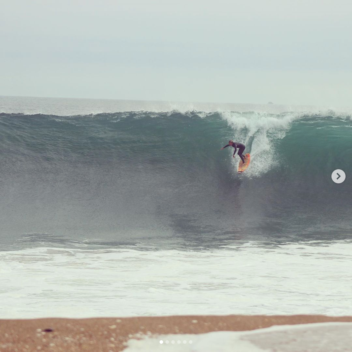 Jax + Wedge