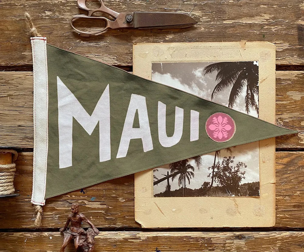 Hawai'i Flags