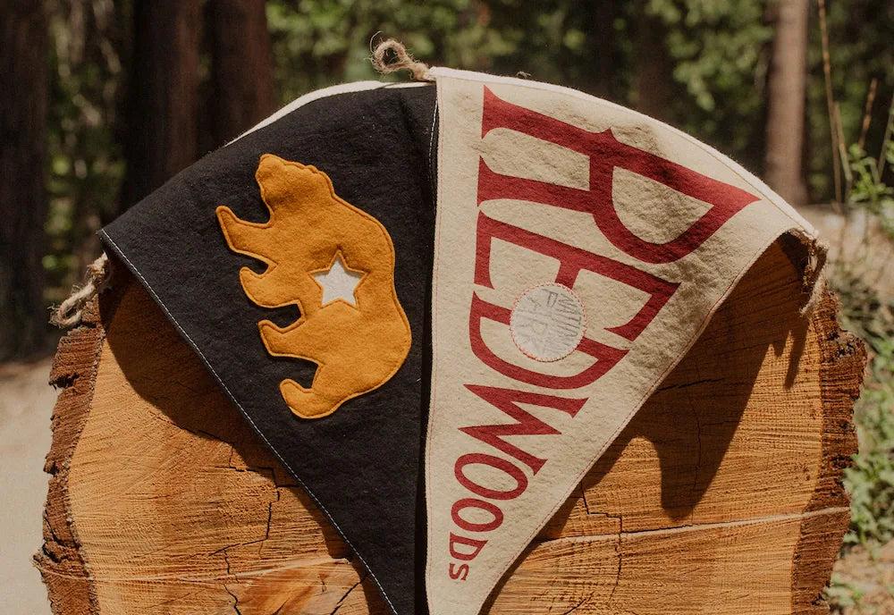 National Parks Flags