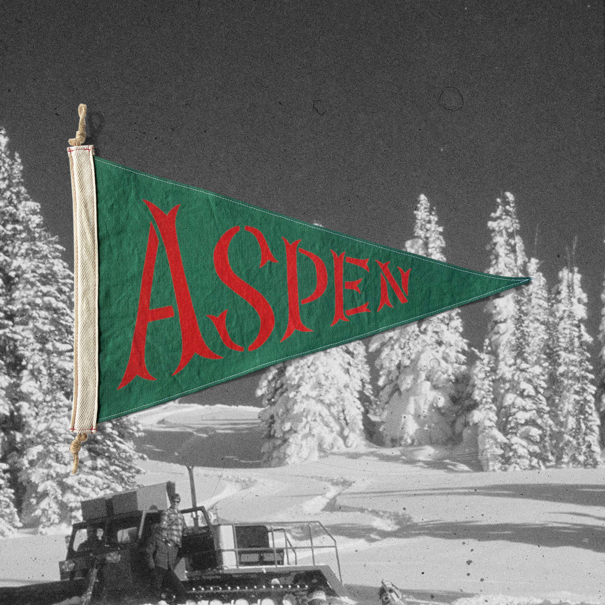 Aspen Flag