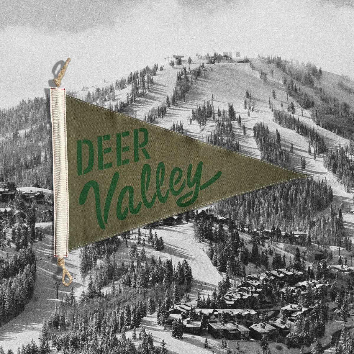 Deer Valley Flag