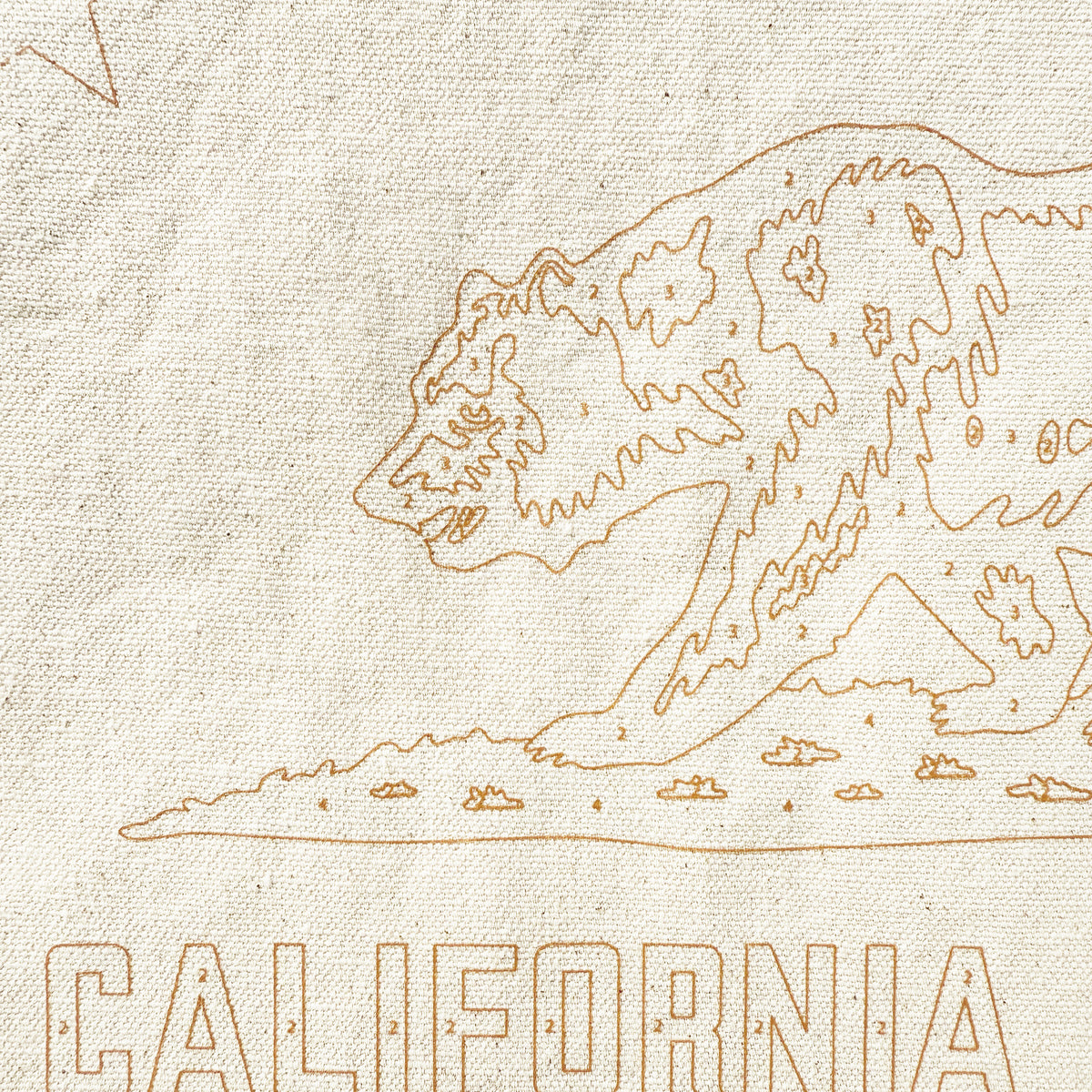 CA State Flag Paint-by-numbers