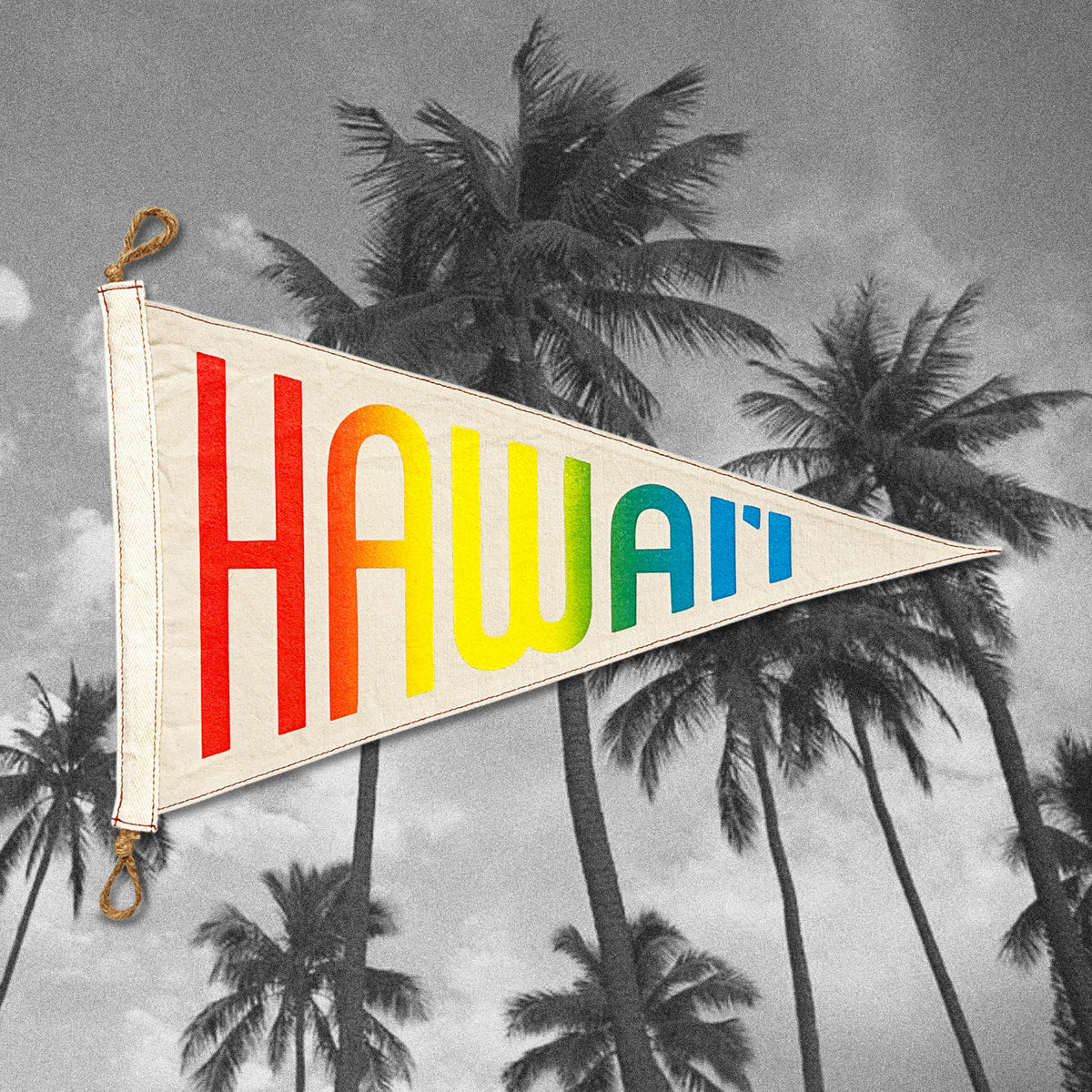 Hawai'i Shave Ice Flag
