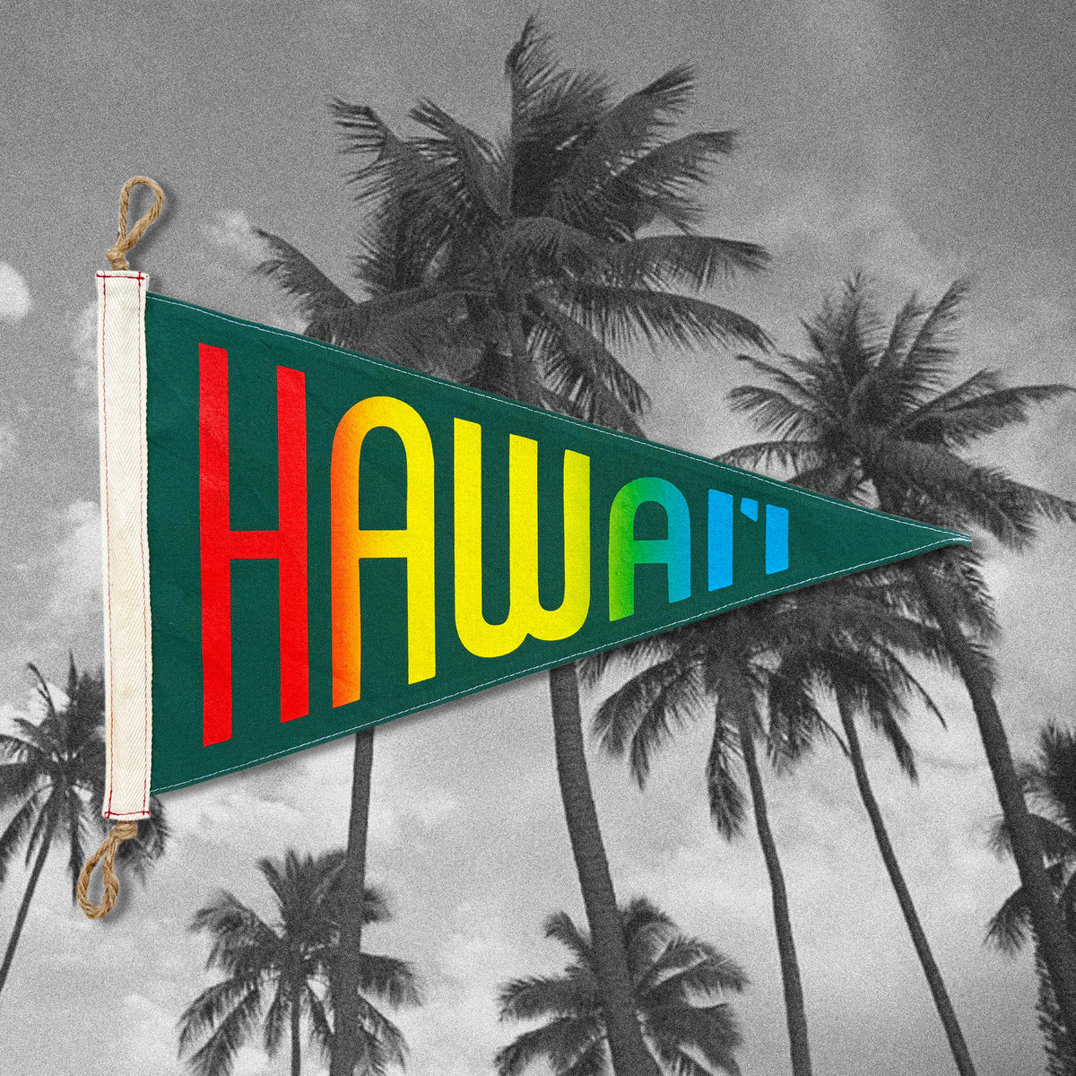 Hawai'i Shave Ice Flag