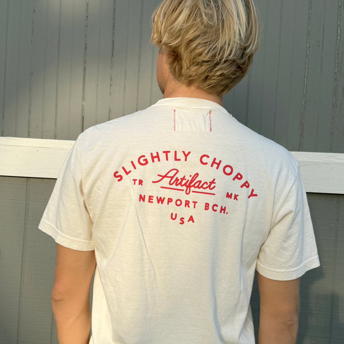 Shop T-Shirt