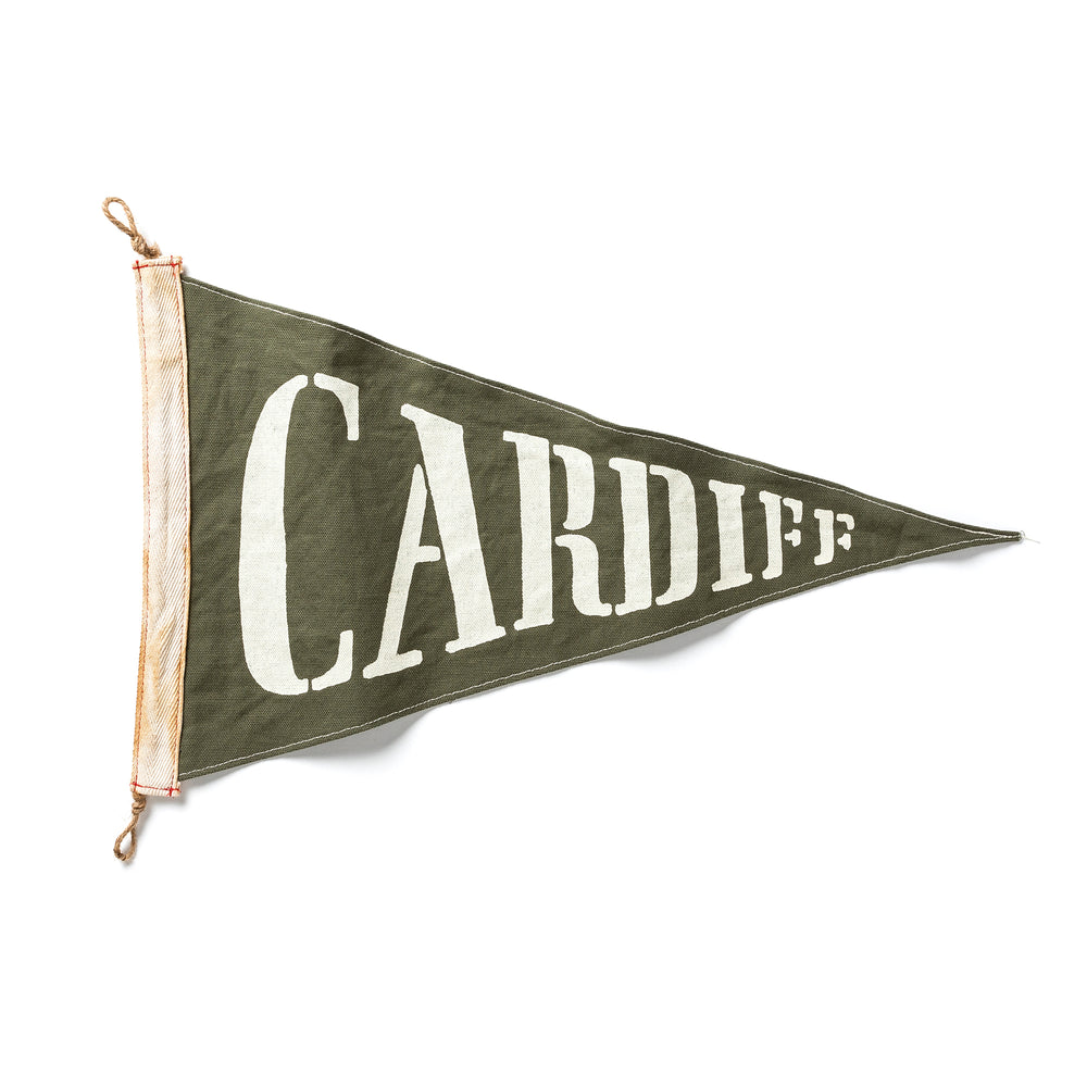 Cardiff Flag