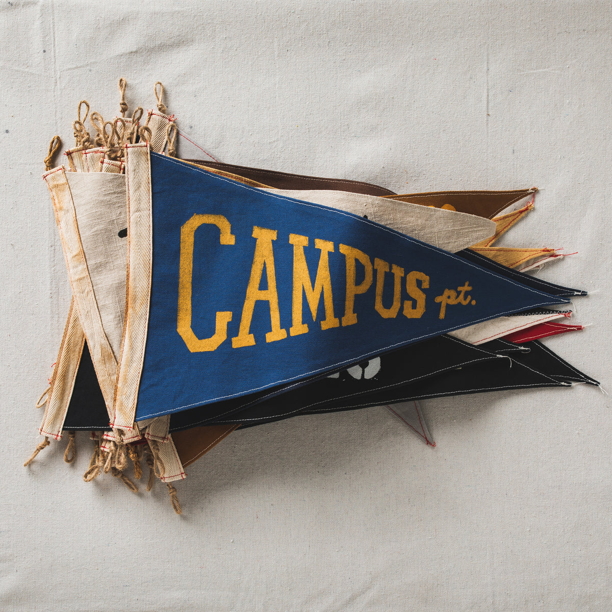 Campus Point Flag