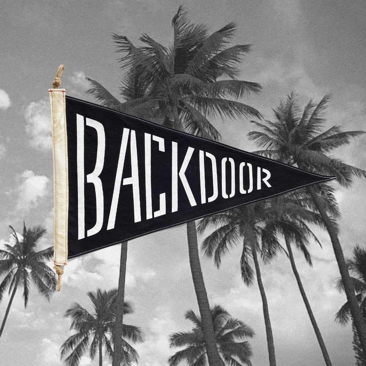 Backdoor Flag