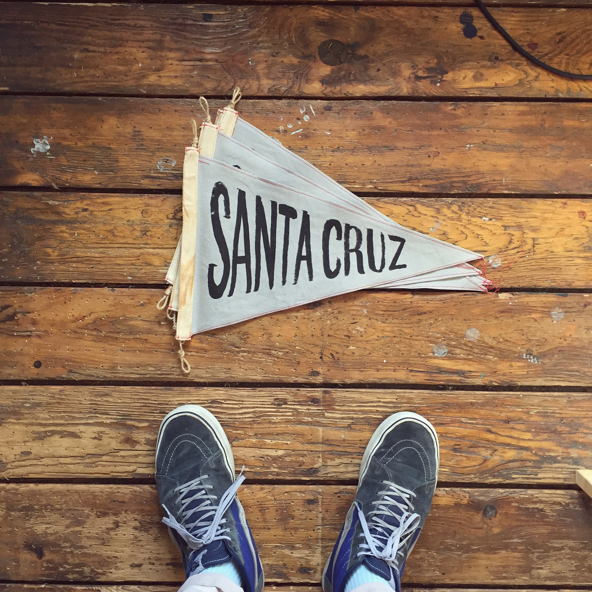 Santa Cruz Flag