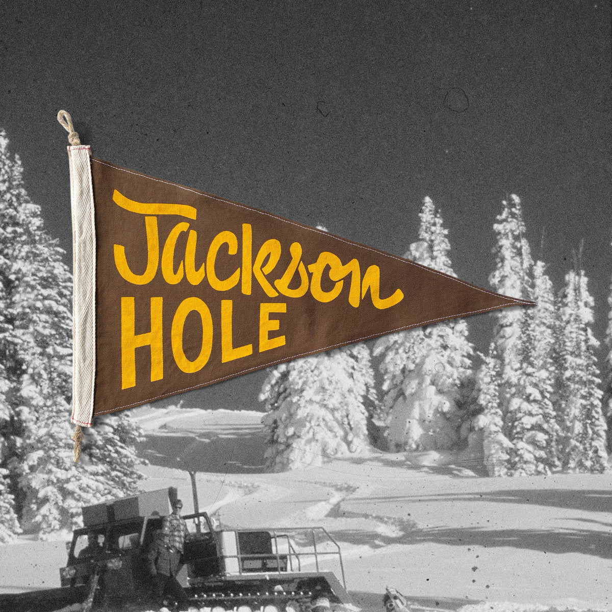 Jackson Hole Flag