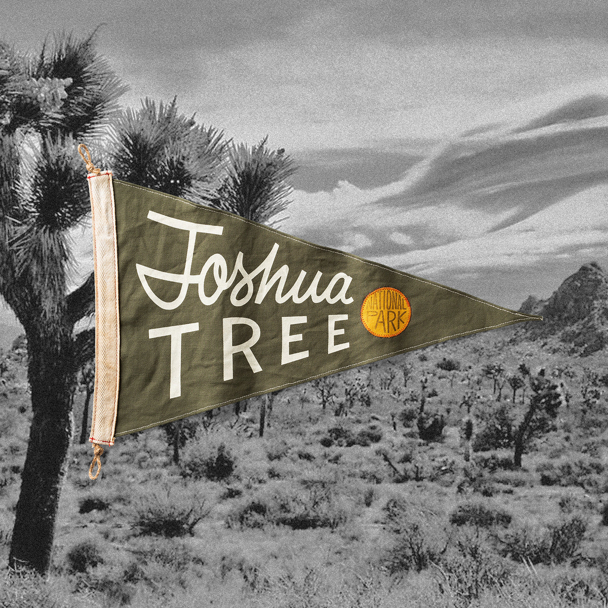 Joshua Tree Flag