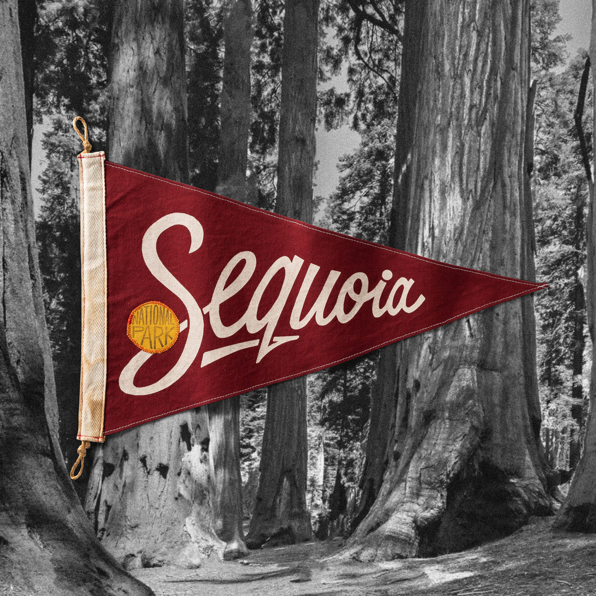 Sequoia Flag